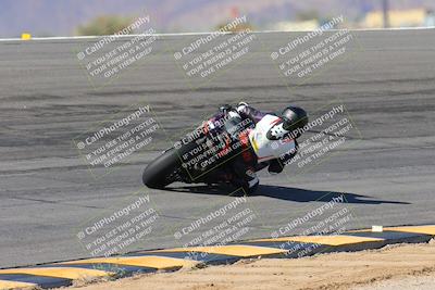 media/Feb-04-2024-SoCal Trackdays (Sun) [[91d6515b1d]]/4-Bowl Backside (11am)/
